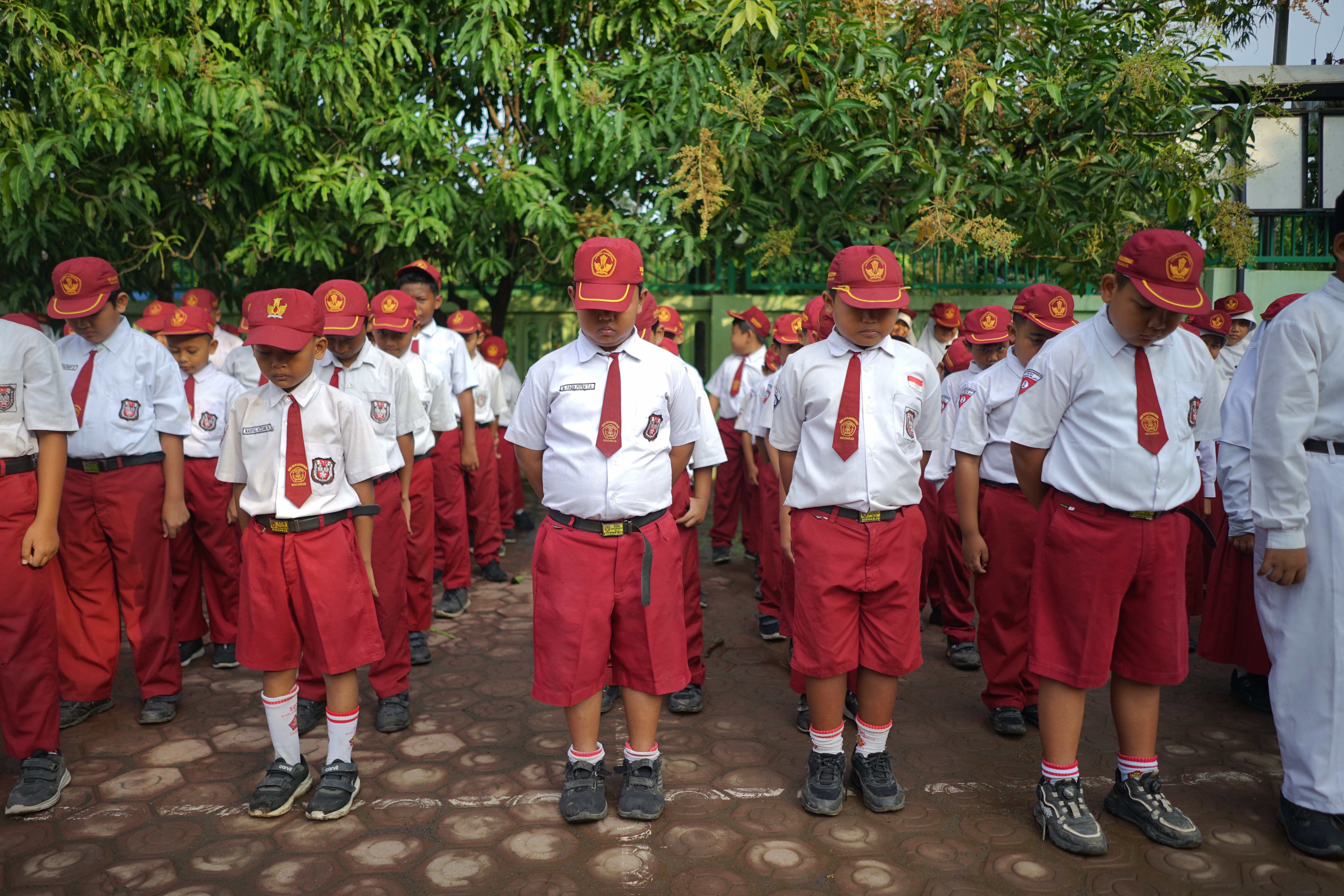 Langkah Nyata di Daerah: Wujudkan Guru Profesional Lewat Penyerapan Lulusan PPG